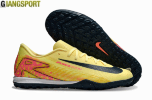 Vapor 16 Academy